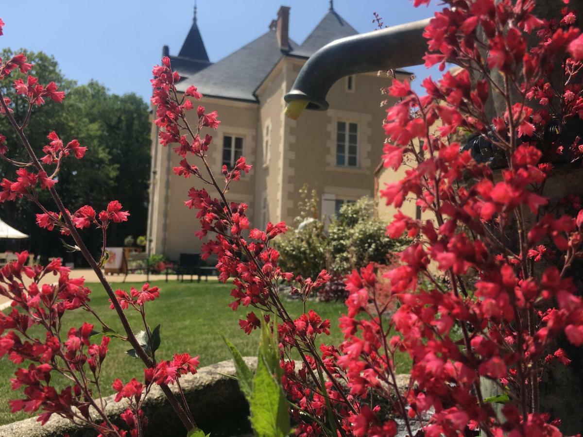 Le Petit Chateau Des Cedres Mouchamps 외부 사진