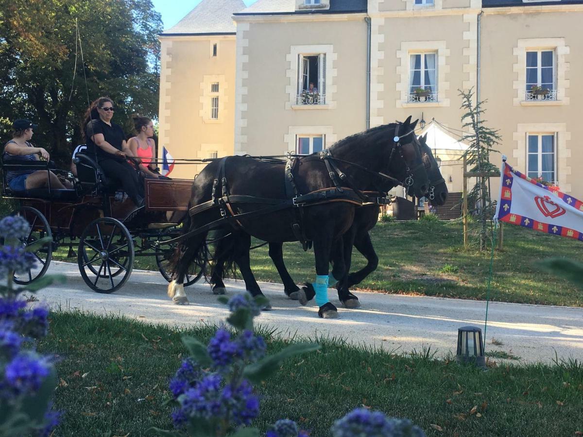 Le Petit Chateau Des Cedres Mouchamps 외부 사진